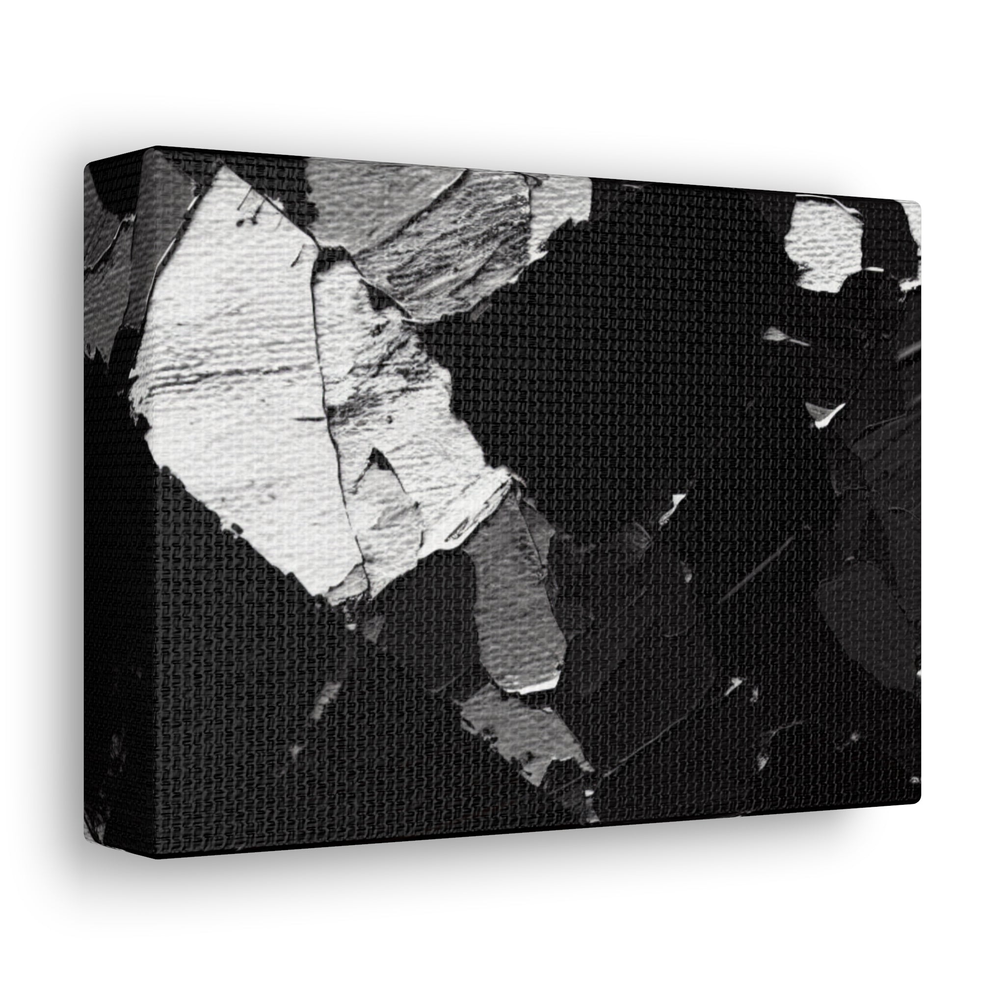 Ebullient Shadows and Light | Canvas