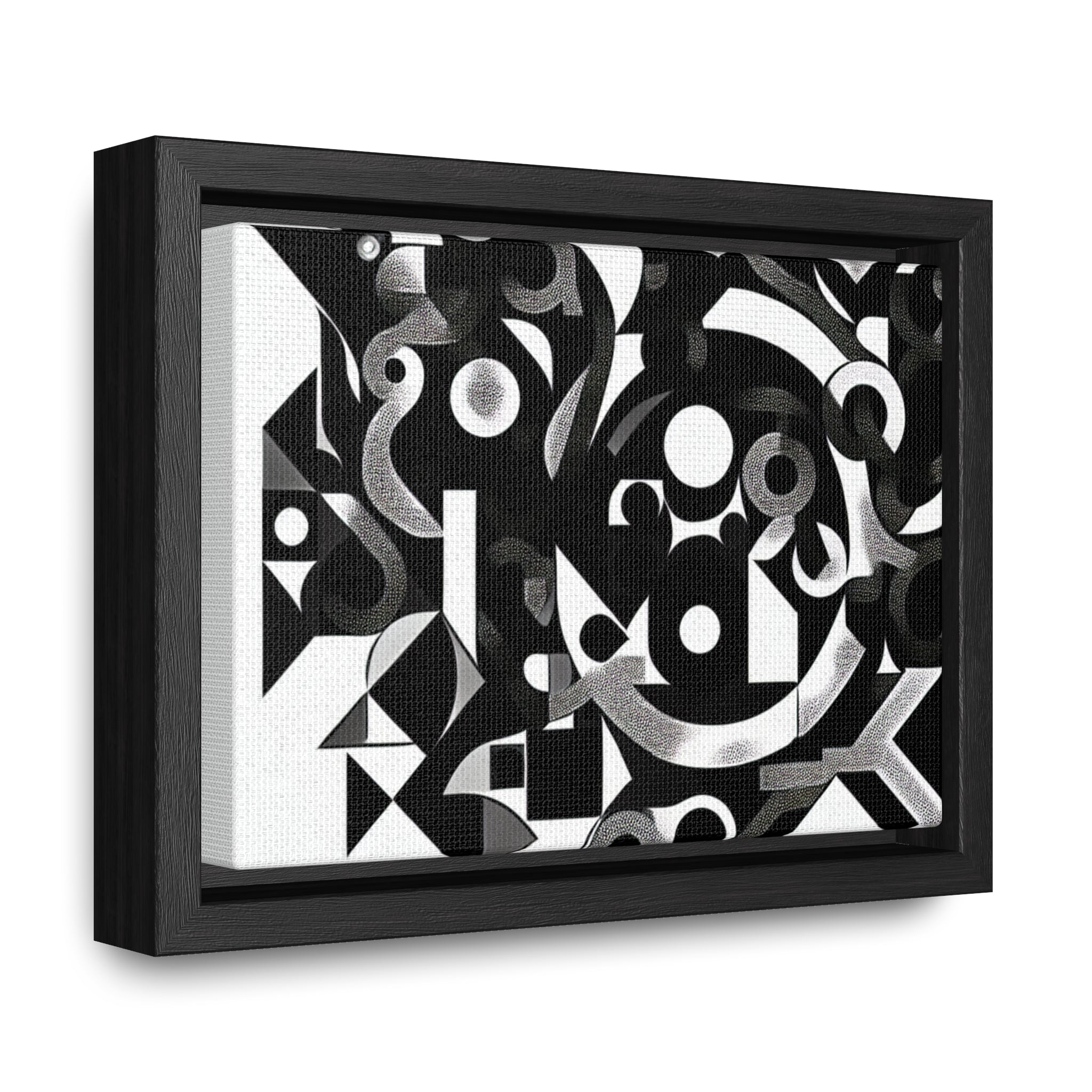 Eclipse of Contrast | Framed Canvas