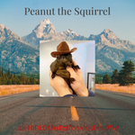 Peanut the Squirrel  Hoodie