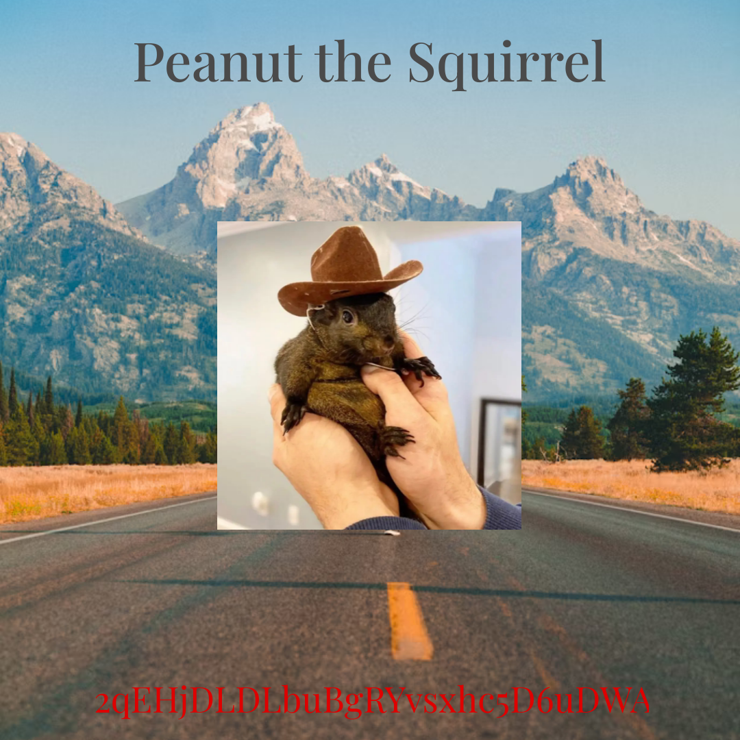 Peanut the Squirrel  Hoodie