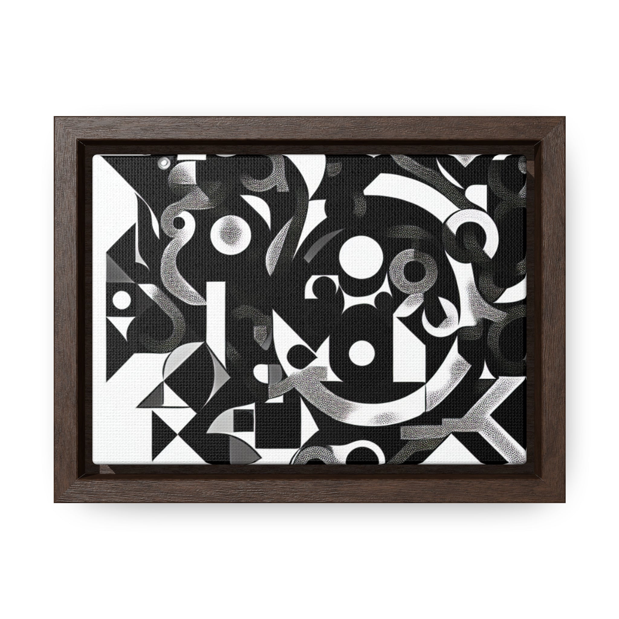 Eclipse of Contrast | Framed Canvas