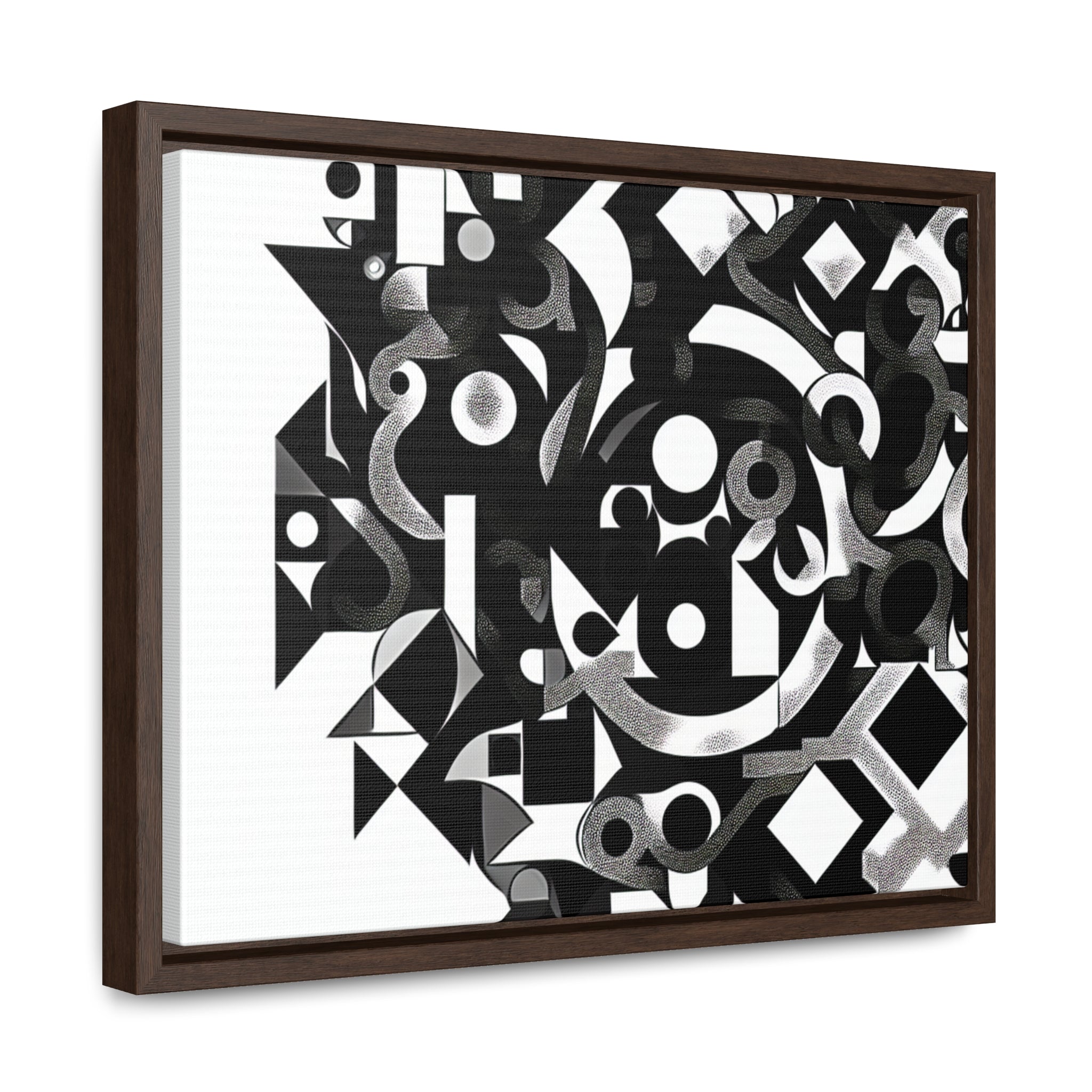 Eclipse of Contrast | Framed Canvas